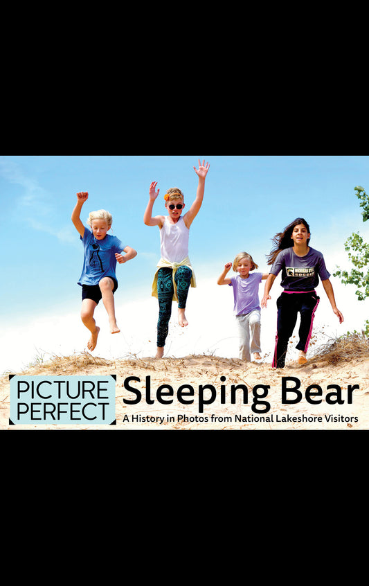 Picture-Perfect Sleeping Bear